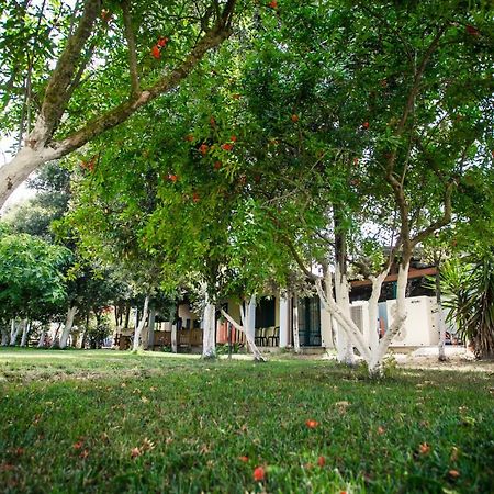 Agriturismo Archelao Oristano Exterior foto
